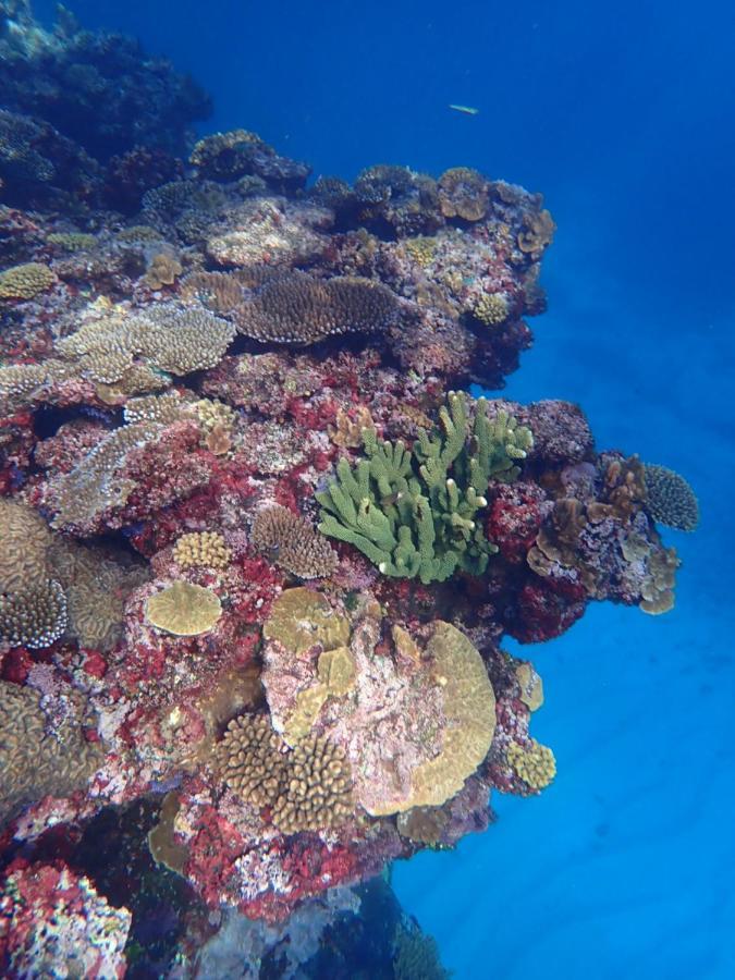 Fiji Lodge Vosa Ni Ua Savusavu Exterior foto